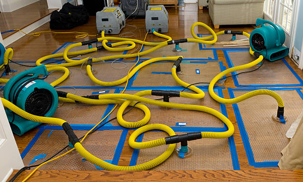Professional Crawl Space Water Removal technician working in Elberta, MI